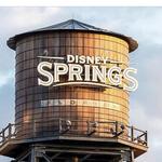 Disney Springs