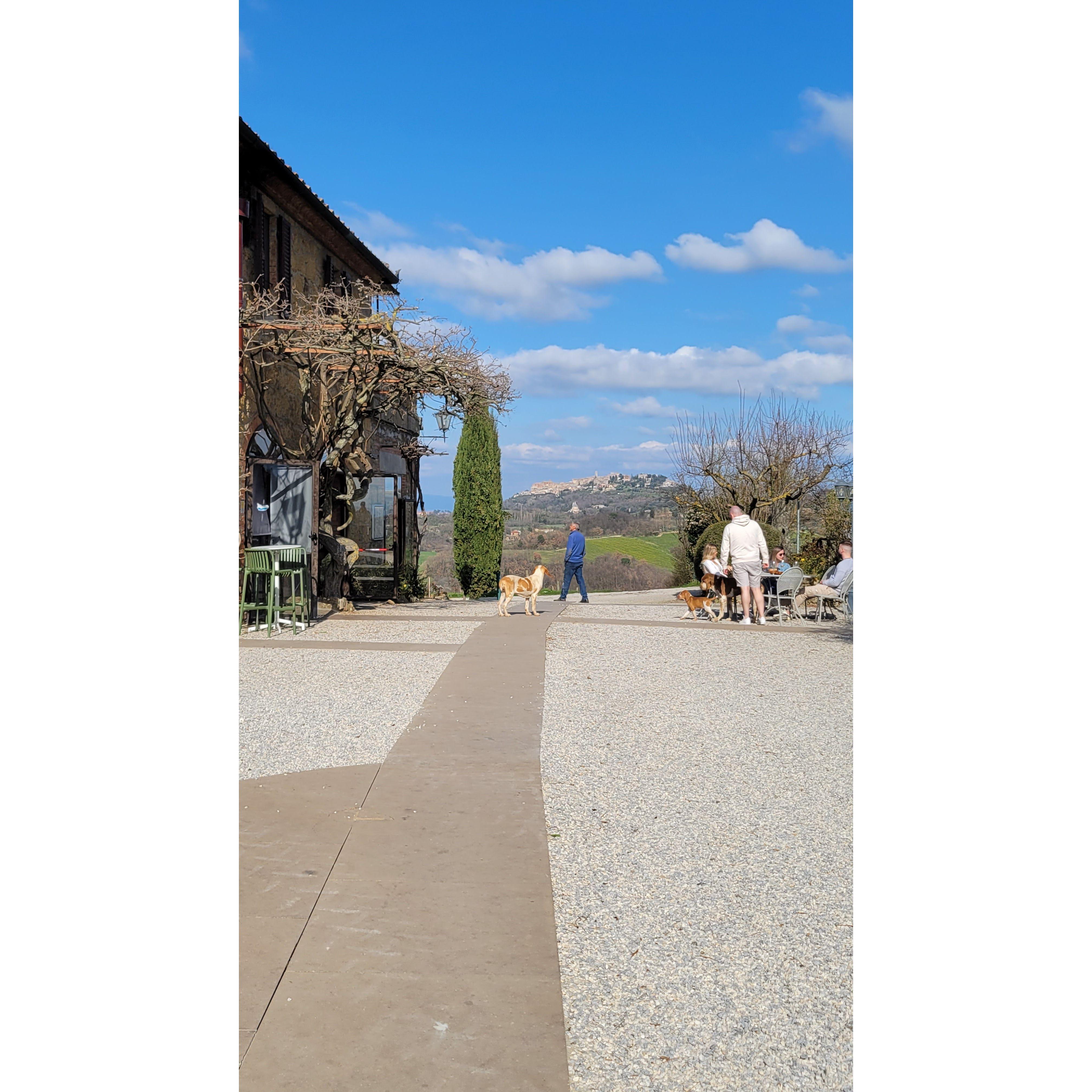 The town of Montelpuciano can be seen in the distance