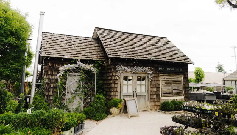 The Wedding Website of Jenna Politano and Ryan Fleischer