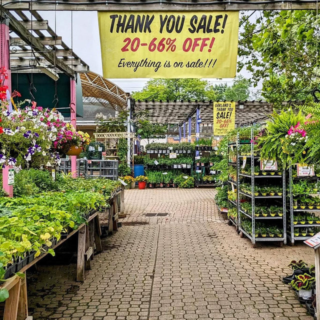 Plant/Paver Fund