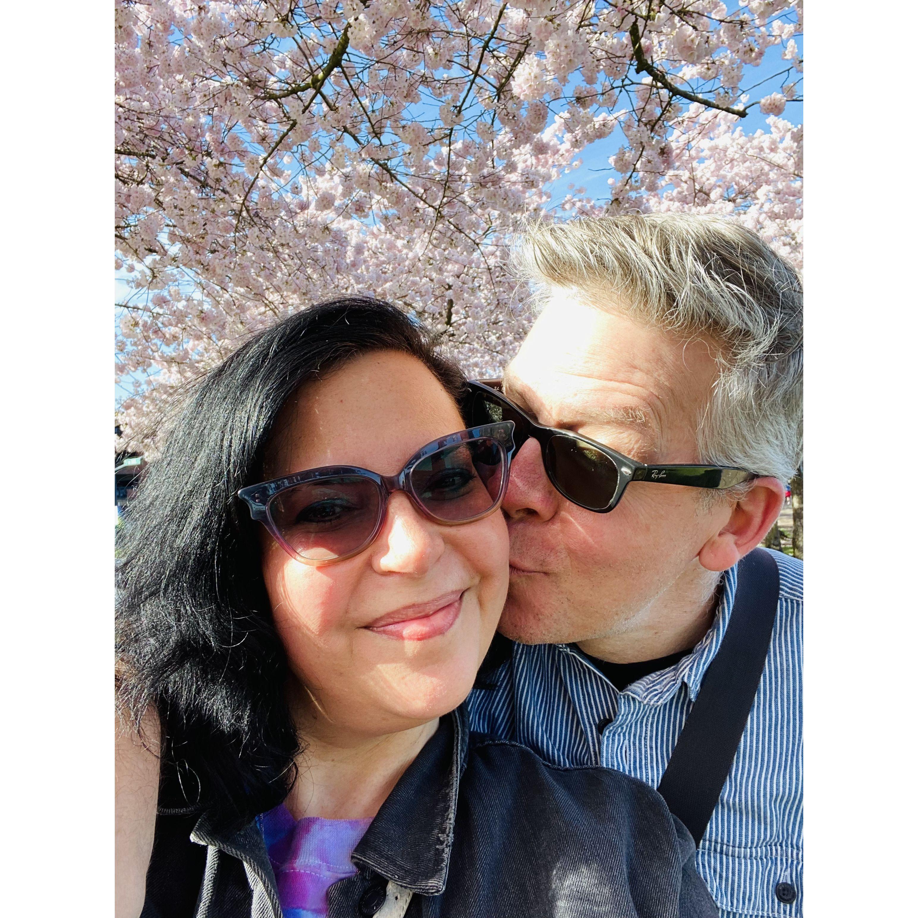 Portland famous cherry blossoms!