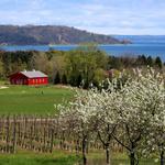 Old Mission Peninsula