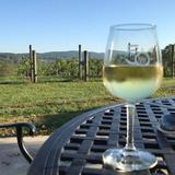 50 West Vineyards