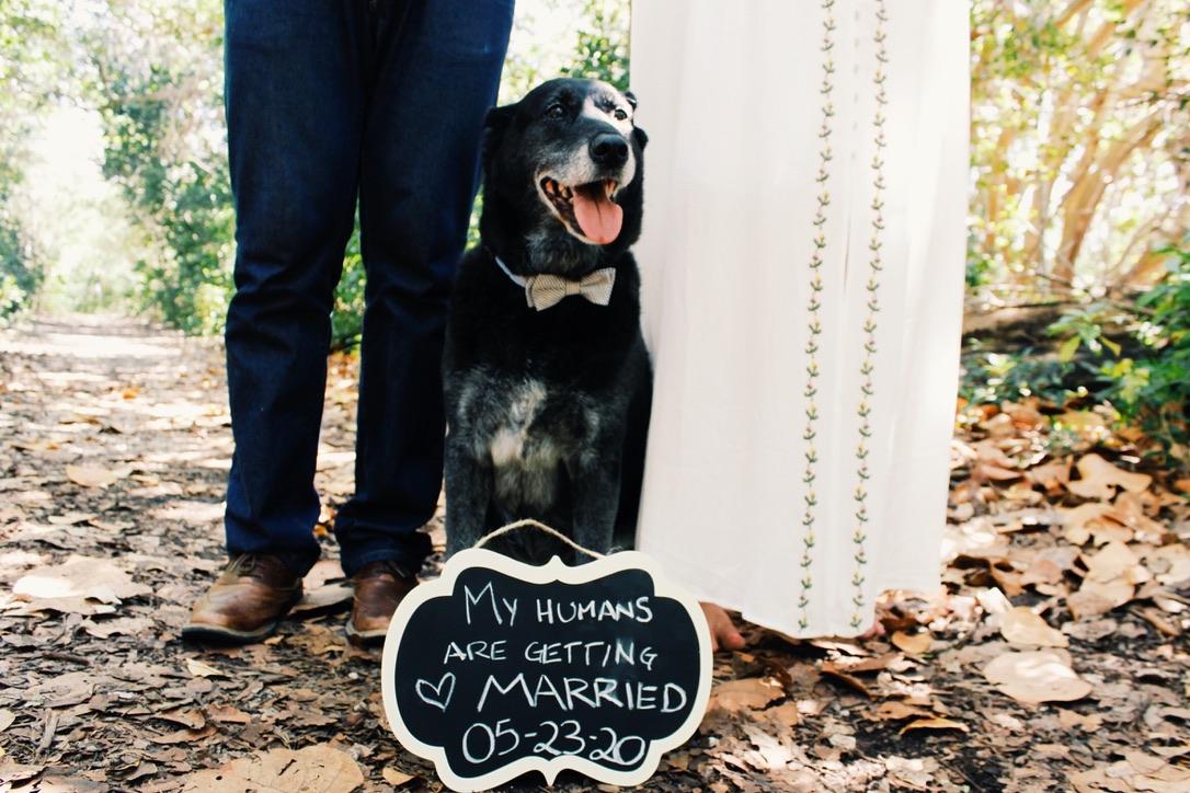 The Wedding Website of Sahara Defeo and Carlos Grosmann