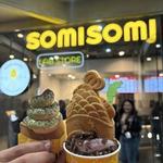 Somisomi