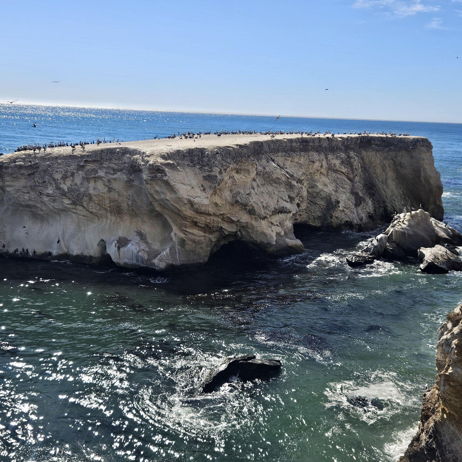 10/12 Dinasaur Caves Park, Pismo Beach