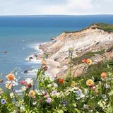 Martha's Vineyard