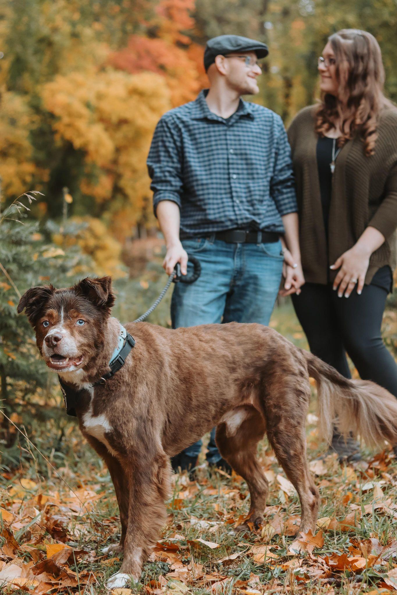 The Wedding Website of Matthew Aumann and Ashley Lapinski