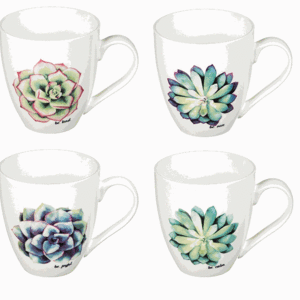 Colorful Succulent Coffee Mugs - Set of 4