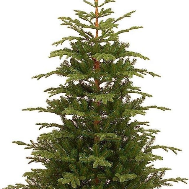 National Tree Company 'Feel Real' Artificial Christmas Tree - Norwegian Spruce Tree - 7.5 ft