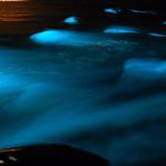 Luminous Lagoon