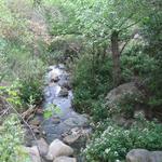 San Ysidro Trail Head