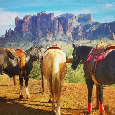 Horseback Riding