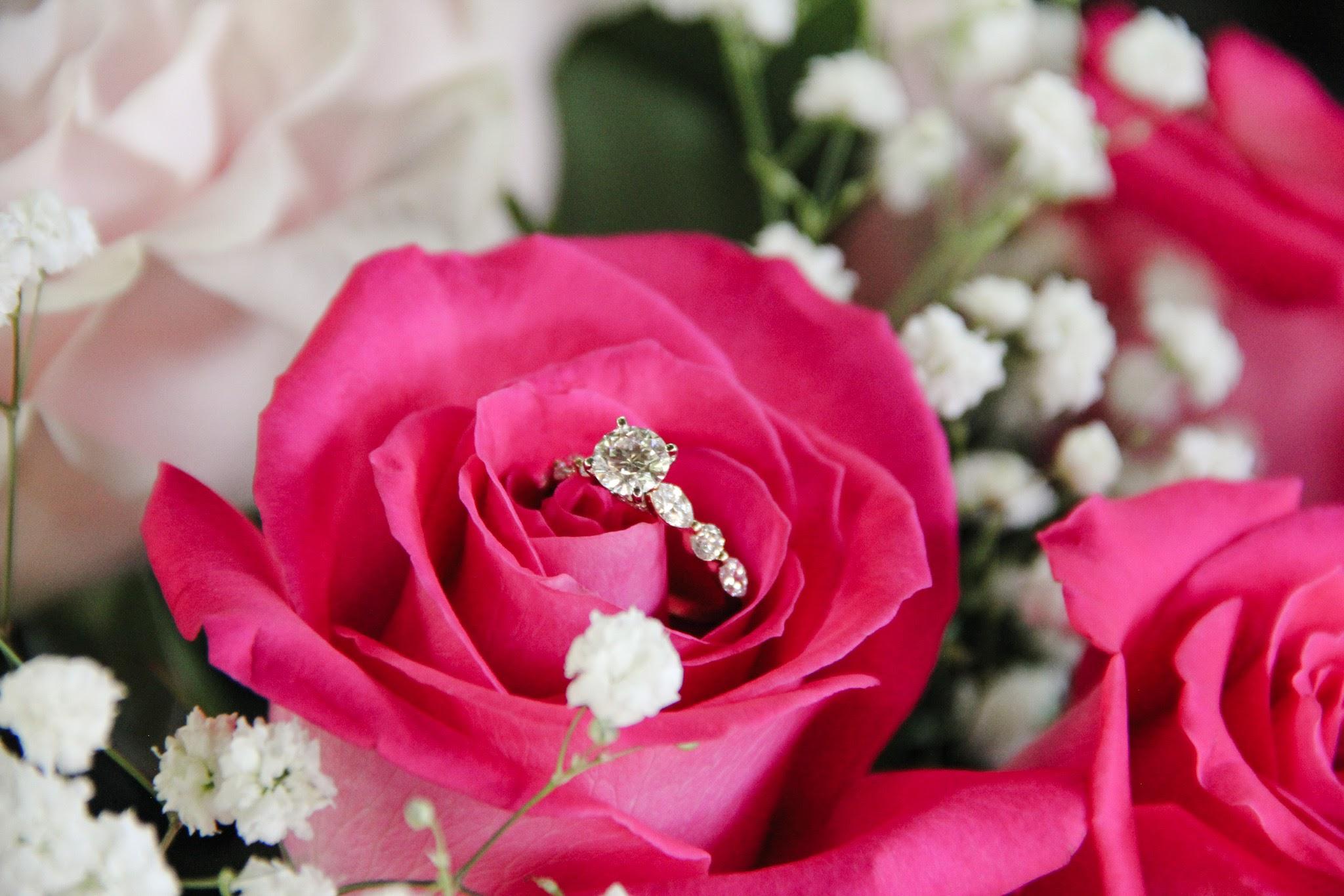 The Wedding Website of Mary Massarelli and David Weimar