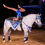 The Dancing Horses Theatre