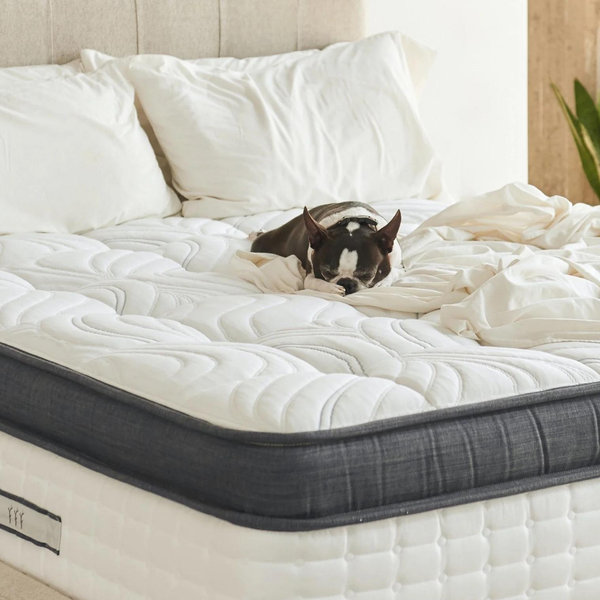 Brentwood King Mattress