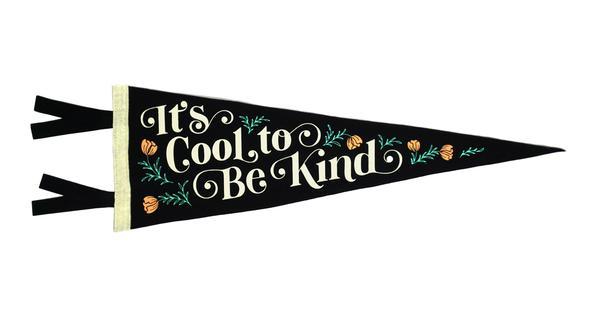 It's Cool To Be Kind Pennant • Everyday Hooray x Oxford Pennant Original