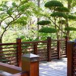 Morikami Museum and Japanese Gardens