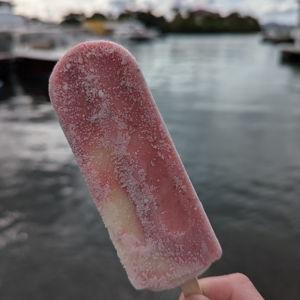Tropical Popsicles