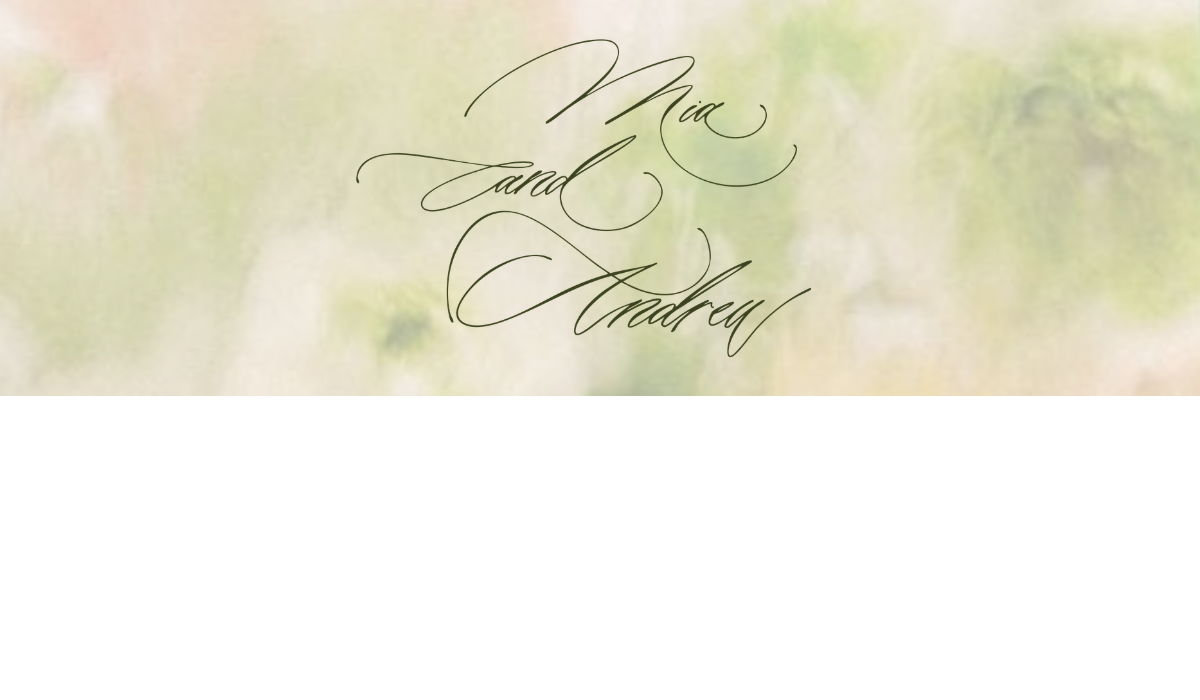 Footer image