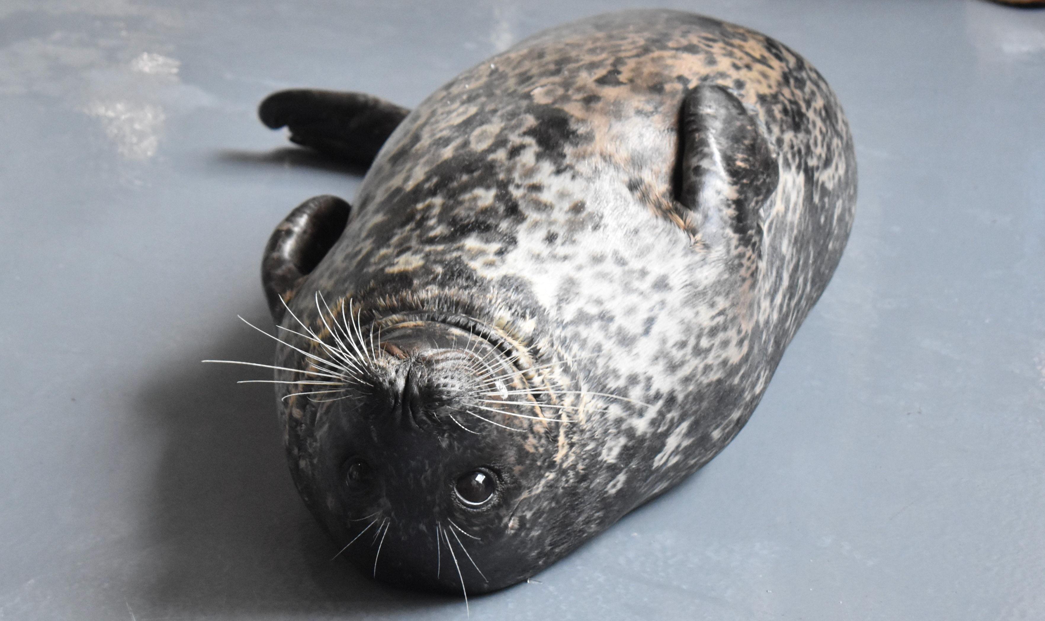 The Wedding Website of Meredith Leigh Jones and Alexander Clarke Eck