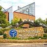 Tennessee Aquarium
