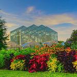 Frederik Meijer Gardens & Sculpture Park