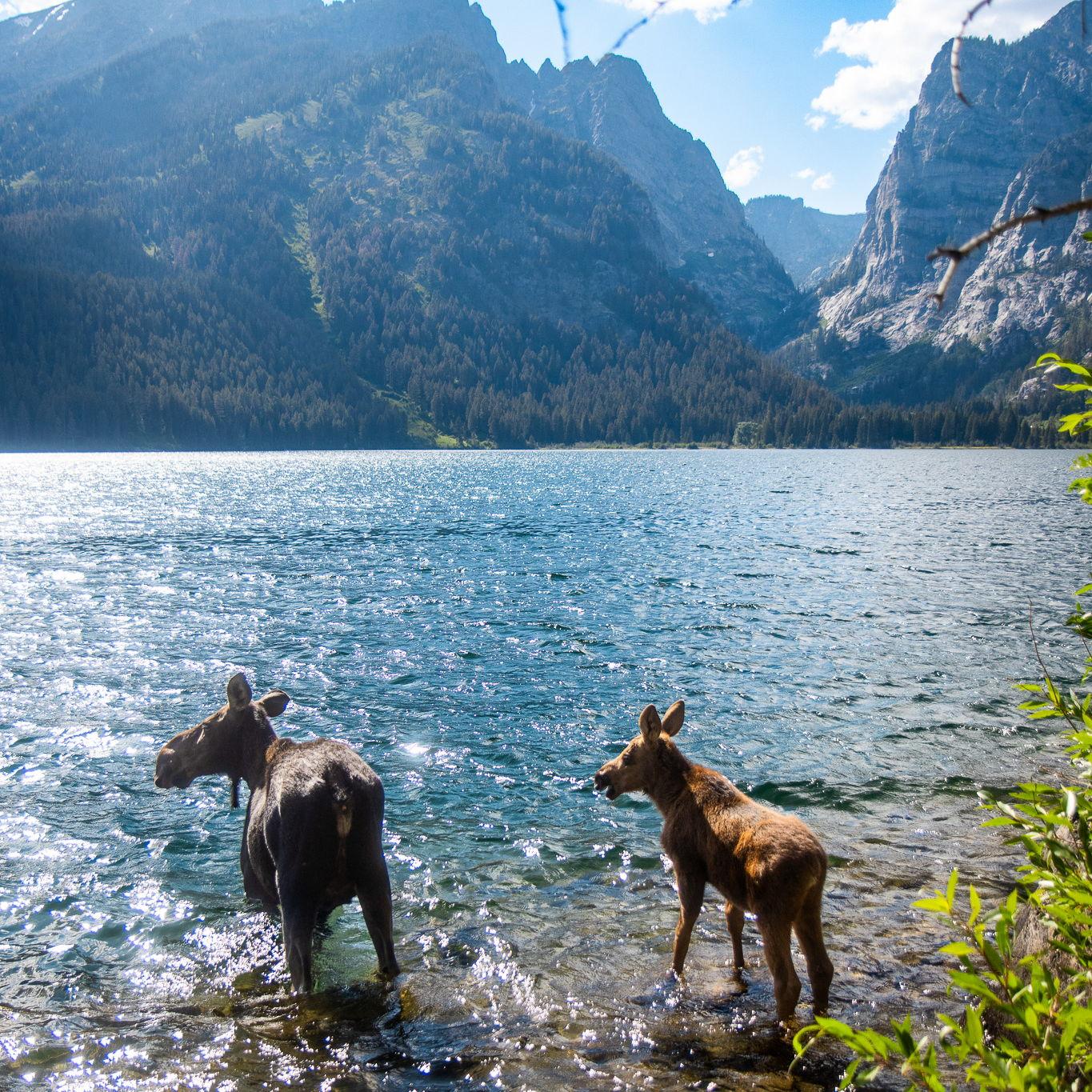 Grand Teton National Park