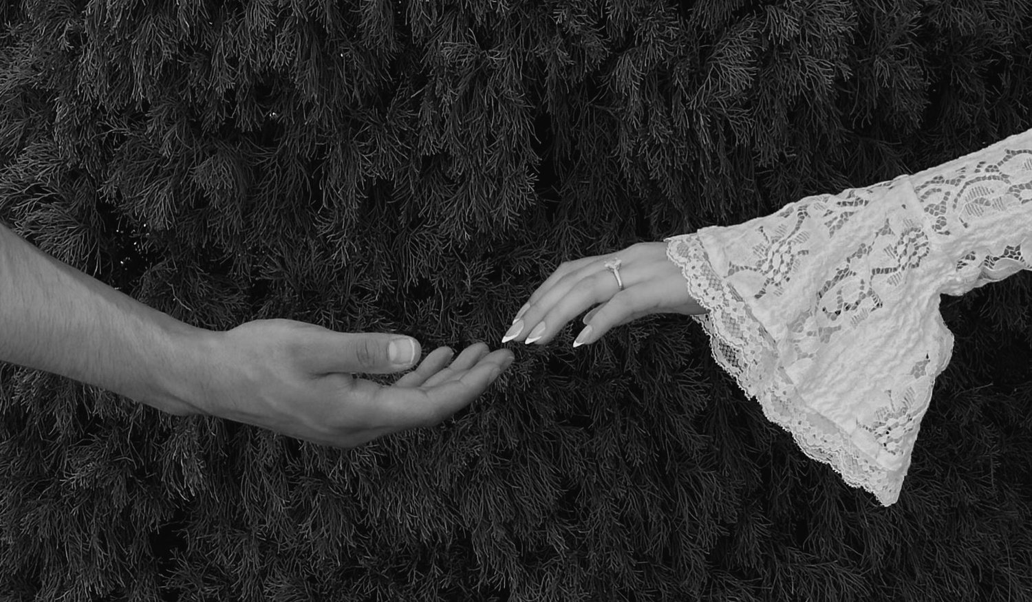 The Wedding Website of Reyna Sanchez and Eduardo Ramirez