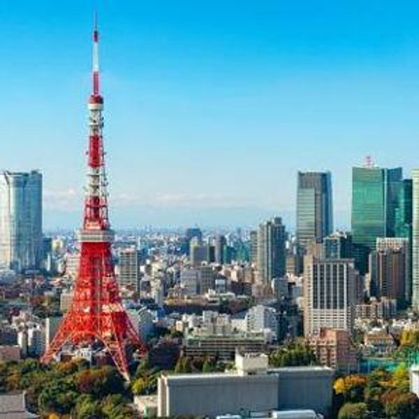 Tokyo Tsukiji Fish Market Food and Culture Walking Tour