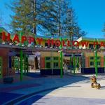 Happy Hollow Park & Zoo