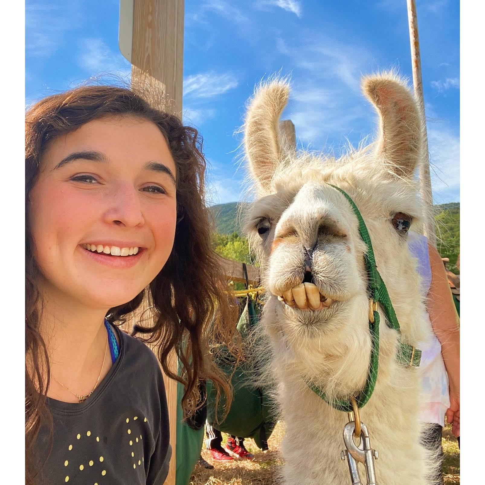More alpaca trek pictures!