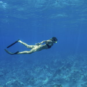Snorkel Sail Tour