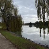 Kialla Lakes Walk