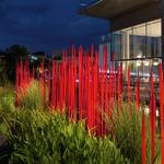 Virginia Museum of Fine Arts
