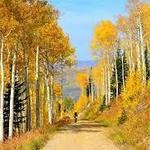 Boreas Pass Road