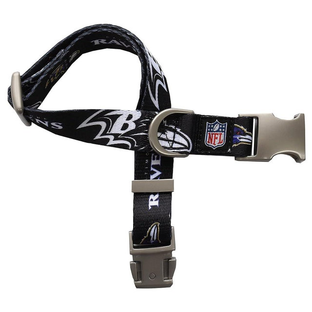 Littlearth NFL Unisex-Adult Premium Pet Collar | Durable All Metal Collar