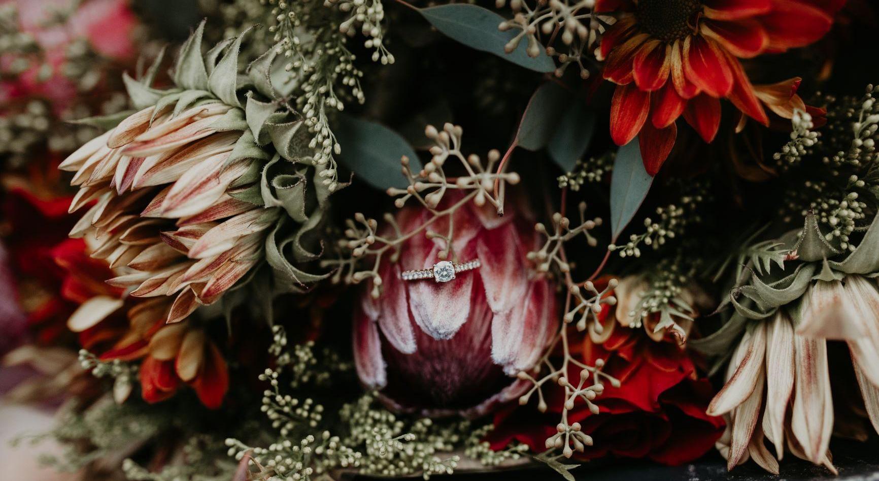 Footer image