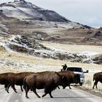 Antelope Island State Park