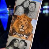 Phoenix Zoo