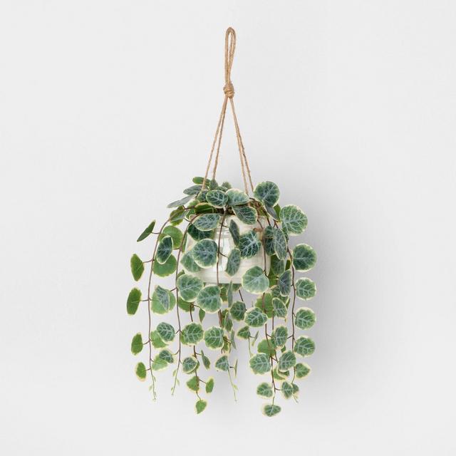 Faux Hanging Vine Potted Plant - Hearth & Hand™ with Magnolia