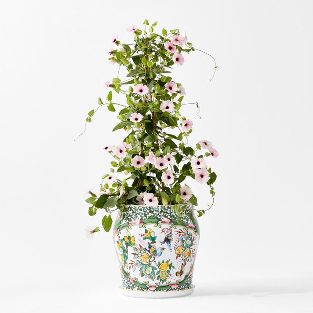 Famille Rose Planter, Medium