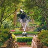 Chandor Gardens