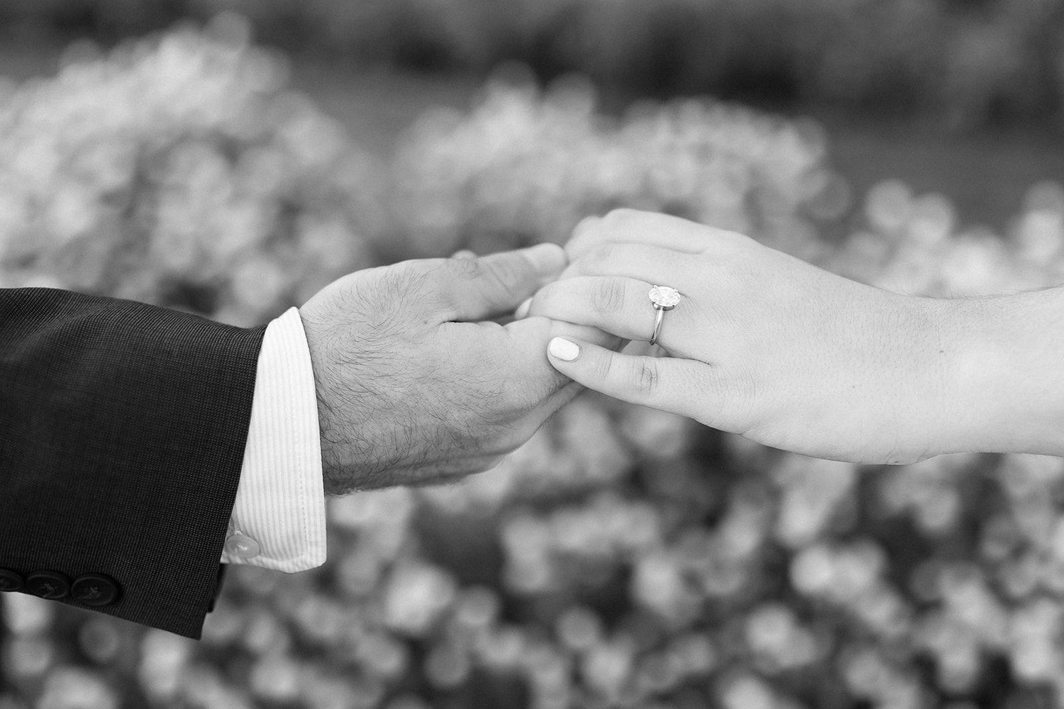 The Wedding Website of Taylor Caruso and Owen Wrinn
