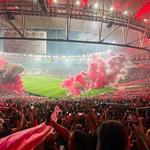 Attend a soccer game