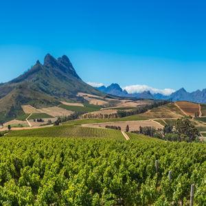 Day 4: Full Day Winelands Tour