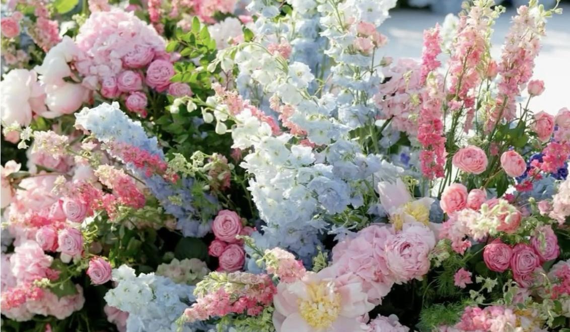 The Wedding Website of Ali Smith and Hayden Williams