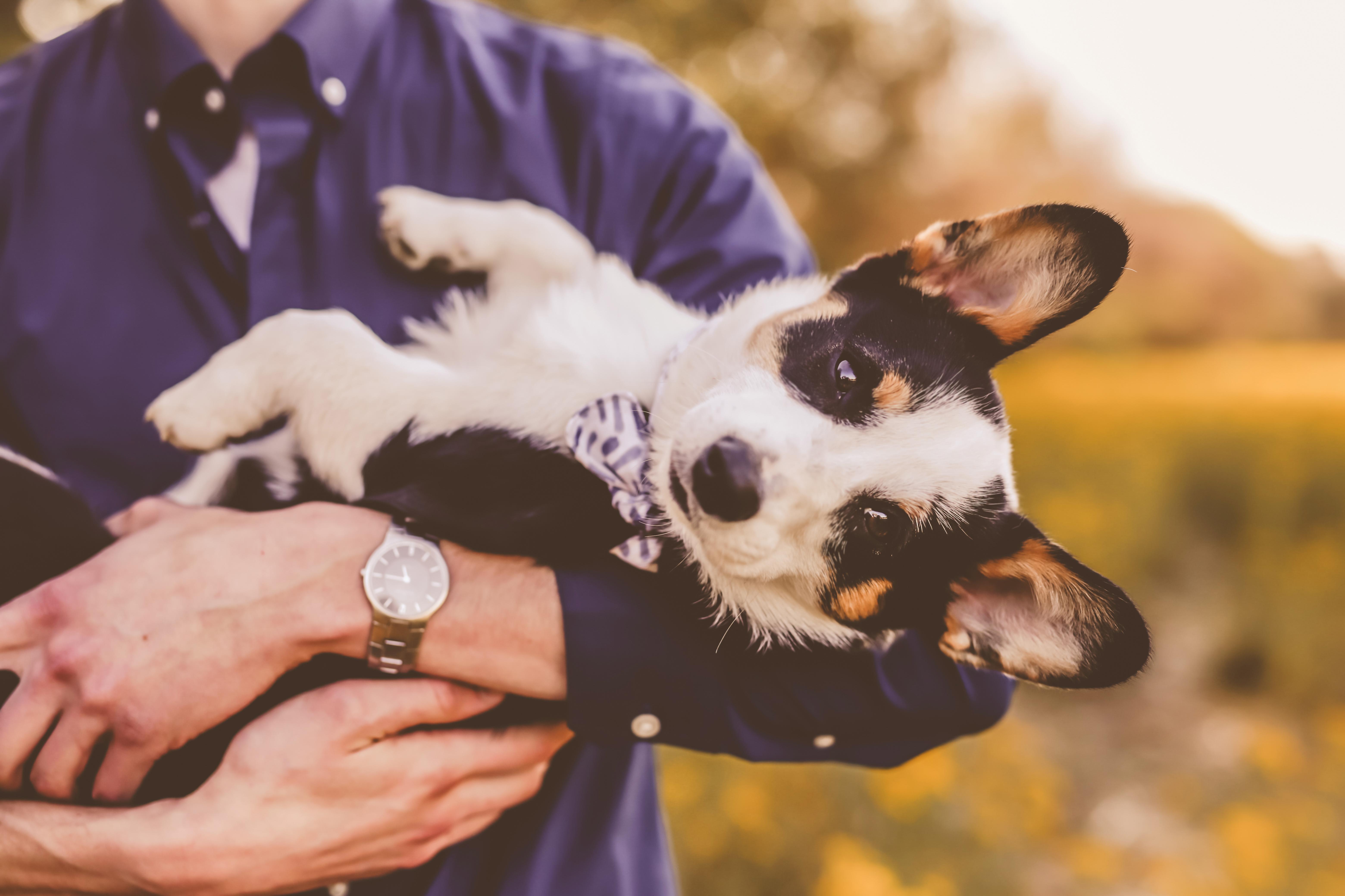 The Wedding Website of Taylor King and Jeffrey Warner