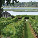 Harmony Vineyards