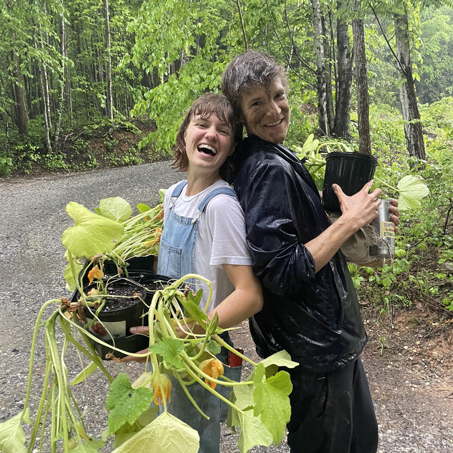 Rainy garden day with BI.